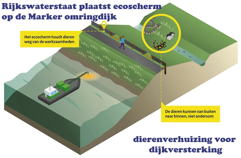 Rijkswaterstaat plaatst ecoscherm op de Marker omringdijk