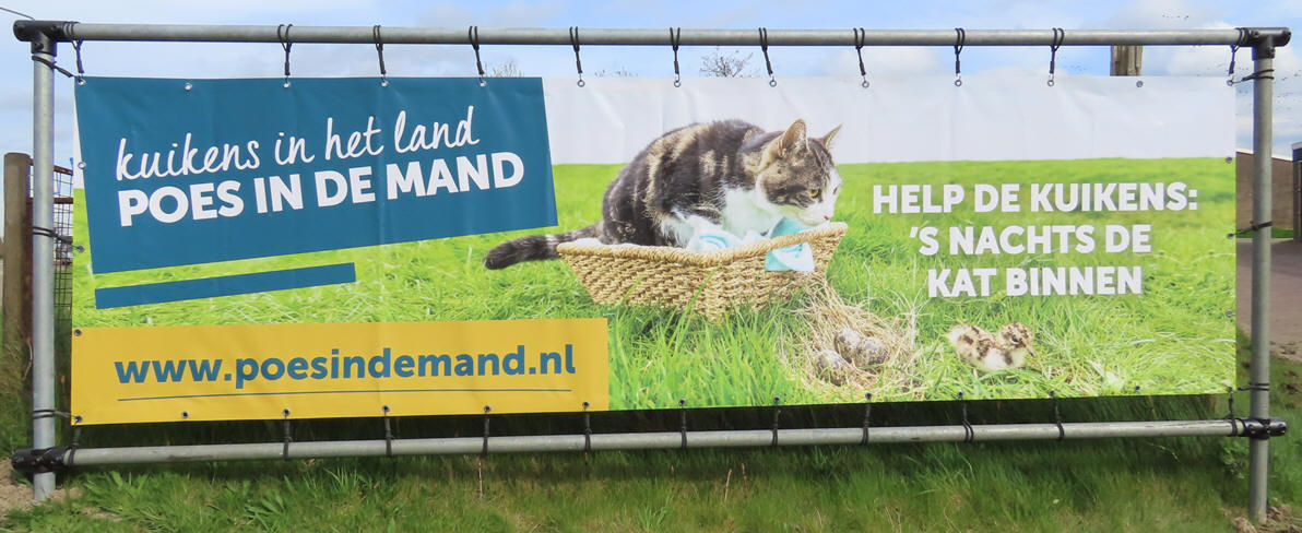 'Kuikens in het land, poes in de mand'